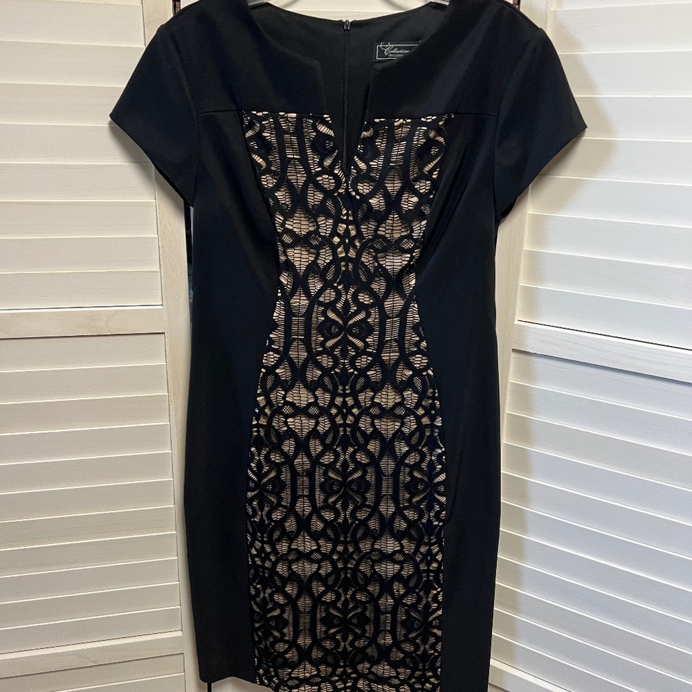 Dressbarn dress for all occasions